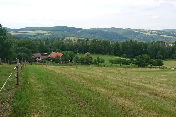 Kontakty